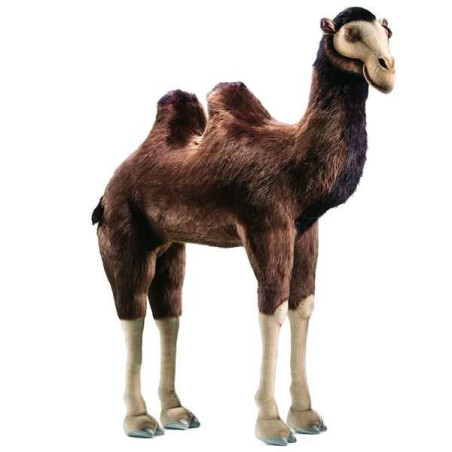 Animaux du désert Chameau 170 cm peluche animalière -2064