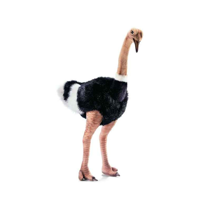 Décoration OiseauxAutruche 75 cm peluche animalière -3268 Anima