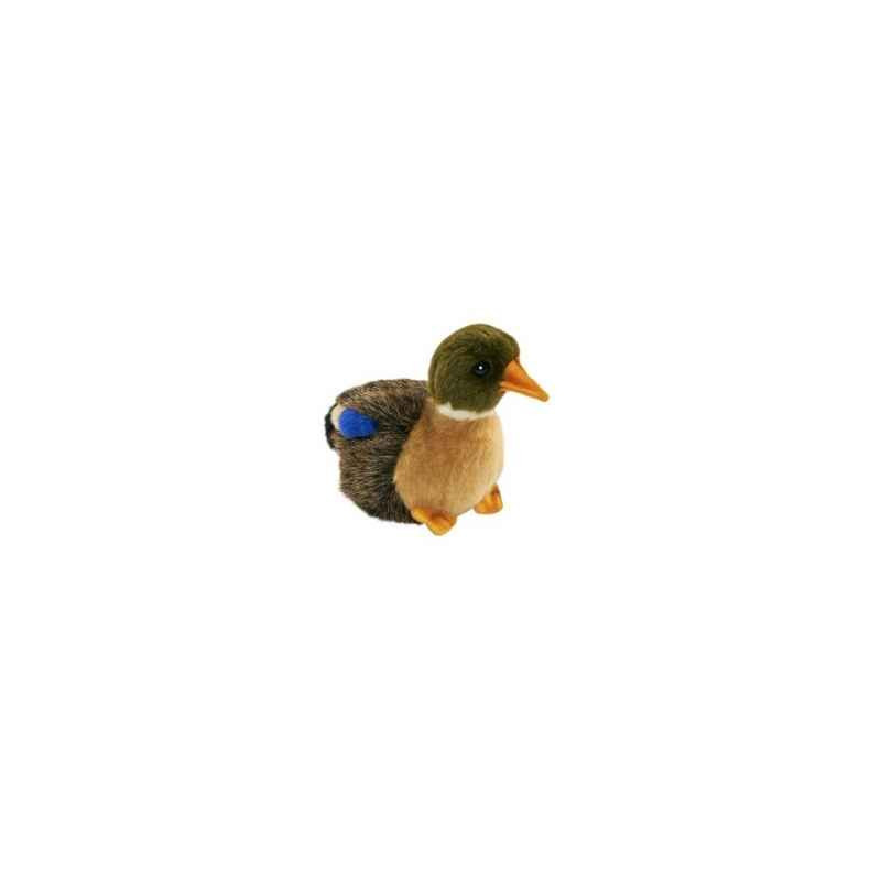 Anima Peluche colvert 12 cm 3570 Anima Peluche colvert 12 cm 3570