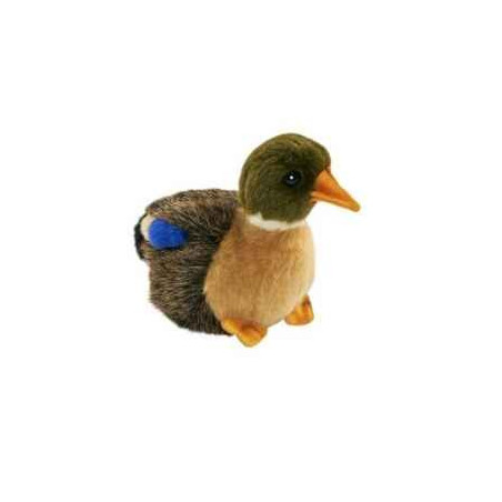 Anima   Peluche colvert 12 cm   3570