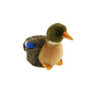 Anima   Peluche colvert 12 cm   3570