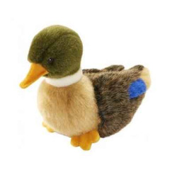 Animaux de la ferme Colvert 19 cm peluche animalière -2053