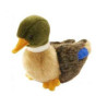 Animaux de la ferme Colvert 19 cm peluche animalière -2053