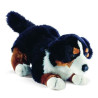 Anima   Peluche bouvier bernois 27 cm   1649