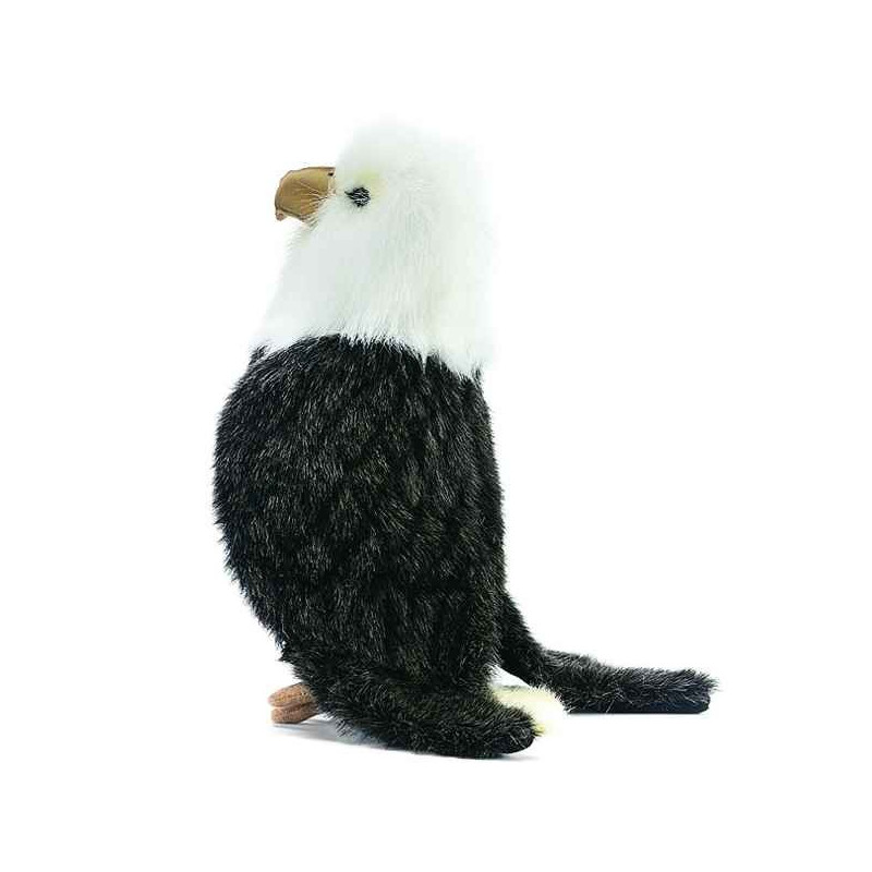 Anima   Peluche aigle 25 cm   2920