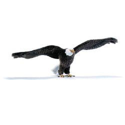Décoration OiseauxAigle americain 120 cm peluche animalière -3802 Anima