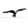 Décoration OiseauxAigle americain 120 cm peluche animalière -3802 Anima