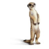 Animaux sauvage schleich-14368-Figurine Suricate debout