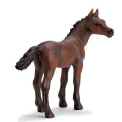 schleich-13276-Poulain Arabe