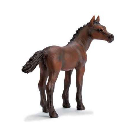 schleich -13276 -Poulain Arabe