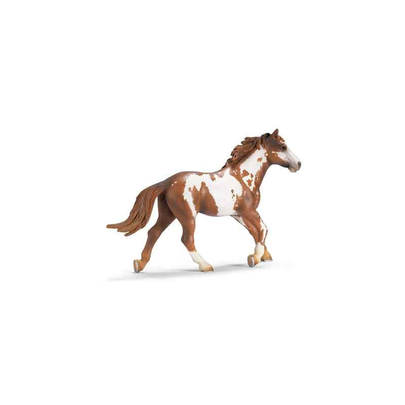 schleich -13616 -Etalon Pinto