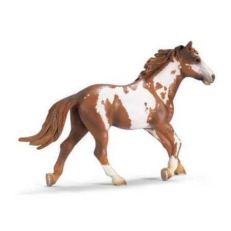 schleich -13616 -Etalon Pinto