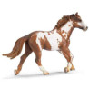 schleich -13616 -Etalon Pinto