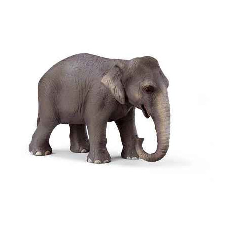 schleich -14344 -Figurine Eléphant de l'Inde femelle