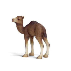 Animaux sauvage schleich-14356-Figurine bébé Dromadaire