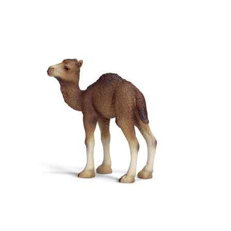 schleich -14356 -Figurine bébé Dromadaire