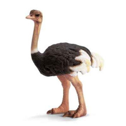 Animaux sauvage schleich-14325-Figurine Autruche