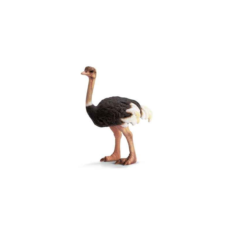 Animaux sauvage schleich-14325-Figurine Autruche