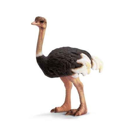 Animaux sauvage schleich-14325-Figurine Autruche