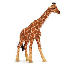 Animaux sauvage schleich-14320-Figurine Girafe femelle