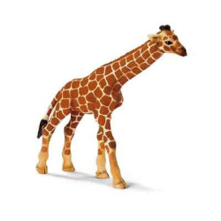 Animaux sauvage schleich-14321-Figurine bébé Girafe