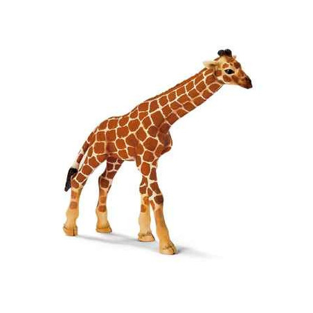 Animaux sauvage schleich-14321-Figurine bébé Girafe