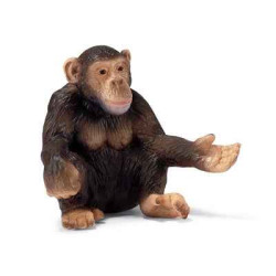 Animaux sauvage schleich-14191-Figurine Chimpanzé femelle