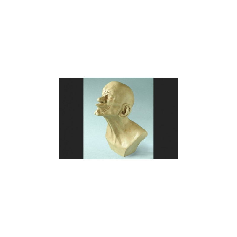Miniateure messerschmidt, miniature tête à bec 3dMouseion -PA26ME