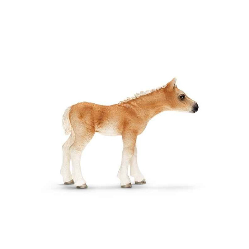 Animaux de la ferme Figurine poulain haflinger schleich-13699