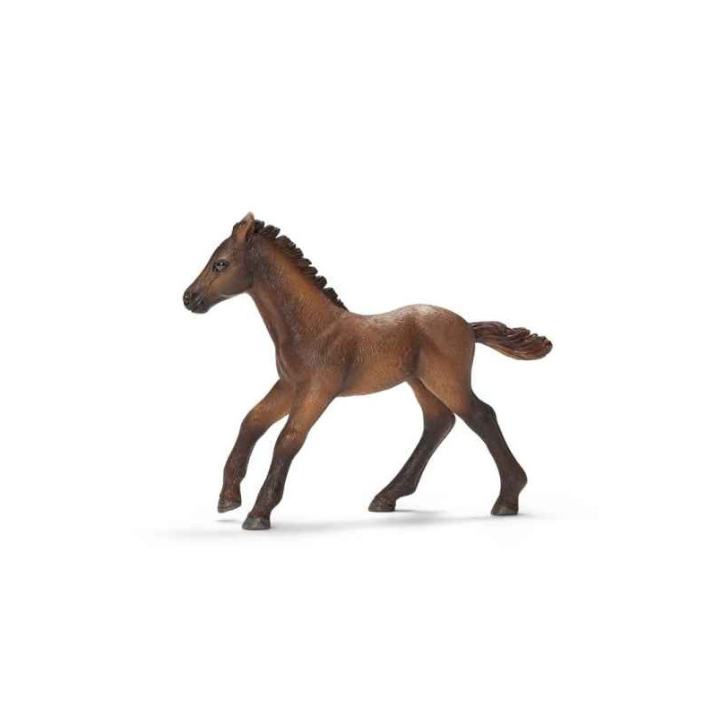 Animaux de la ferme Figurine poulain camarguais schleich-13712