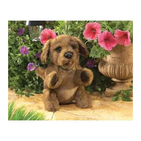 Marionnette peluche petit chien marron folkmanis 2915