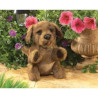 Marionnette peluche petit chien marron folkmanis 2915