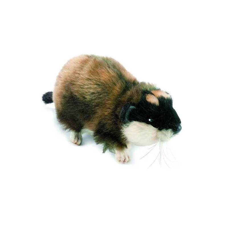 Animaux de la ferme Cochon d'inde 16 cm peluche animalière -4707
