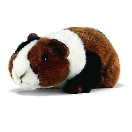 Anima   Peluche cochon d'inde 17 cm   1617