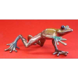 Animaux de la ferme Grenouille Fabulous Forest Frogs Grenouille WU711825
