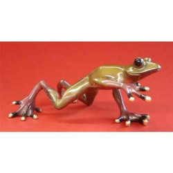 Animaux de la ferme Grenouille Fabulous Forest Frogs Grenouille WU711828