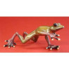 Animaux de la ferme Grenouille Fabulous Forest Frogs Grenouille WU711828