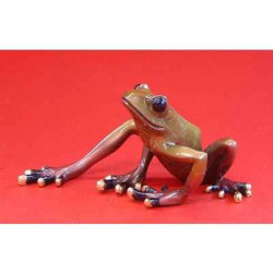 Animaux de la ferme Grenouille Fabulous Forest Frogs Grenouille WU710348