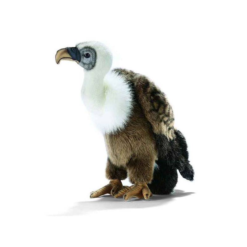 Anima   Peluche vautour 34 cm   3413