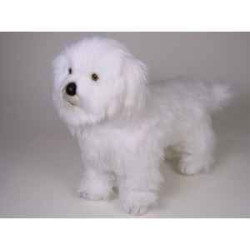 Animaux-Bois-Animaux-Bronzes propose Chien Coton de tuléar 45 cm peluche animaux debout réaliste Piutre 277