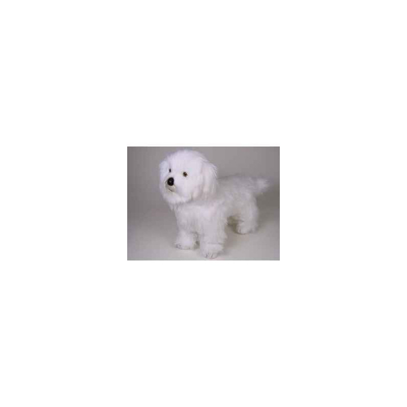 Animaux-Bois-Animaux-Bronzes propose Chien Coton de tuléar 45 cm peluche animaux debout réaliste Piutre 277