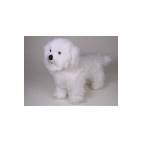 Animaux-Bois-Animaux-Bronzes propose Chien Coton de tuléar 45 cm peluche animaux debout réaliste Piutre 277