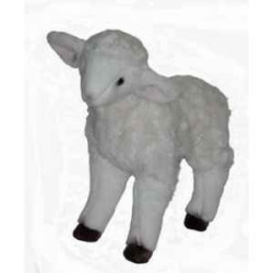  Animaux de la ferme Agneau 50 cm peluche animaux debout réaliste Piutre 724
