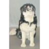  Animaux de la forêt Loup caucasien 90 cm assis peluche réaliste Piutre 1241
