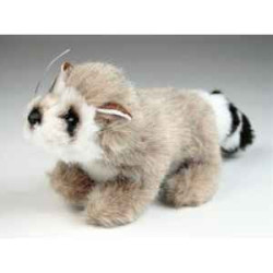  Animaux de la forêt Miniature râton laveur 15 cm peluche réaliste Piutre 4262