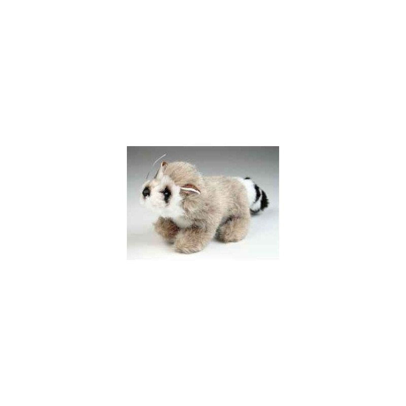 Peluche Miniature râton laveur 15 cm Piutre   4262