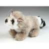 Peluche Miniature râton laveur 15 cm Piutre   4262