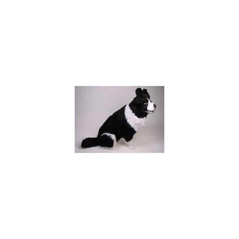 Animaux-Bois-Animaux-Bronzes propose Chien Border collie 85 cm assis peluche réaliste Piutre 1215