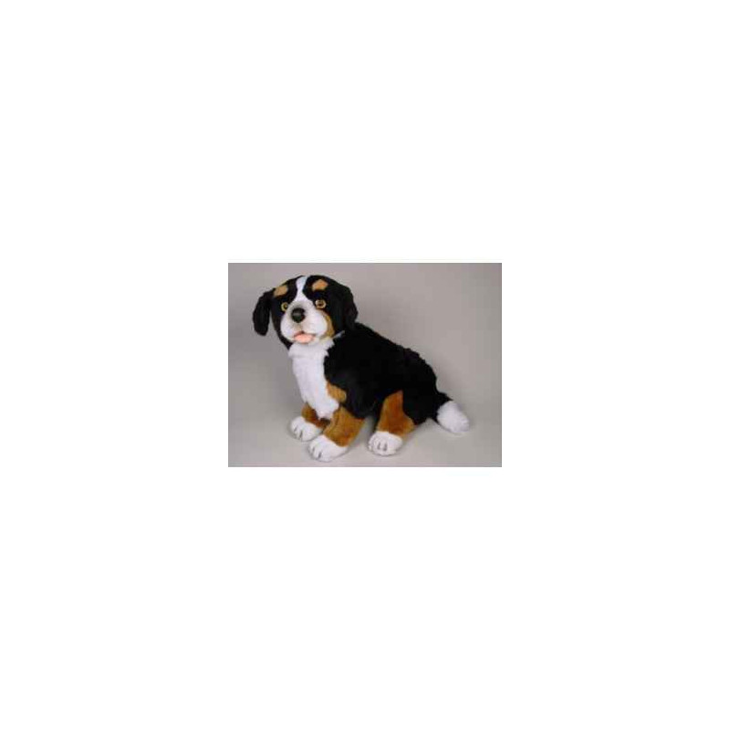 Peluche assise chien de montagne bernois 50 cm Piutre   1264