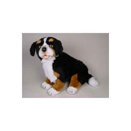 Peluche assise chien de montagne bernois 50 cm Piutre   1264